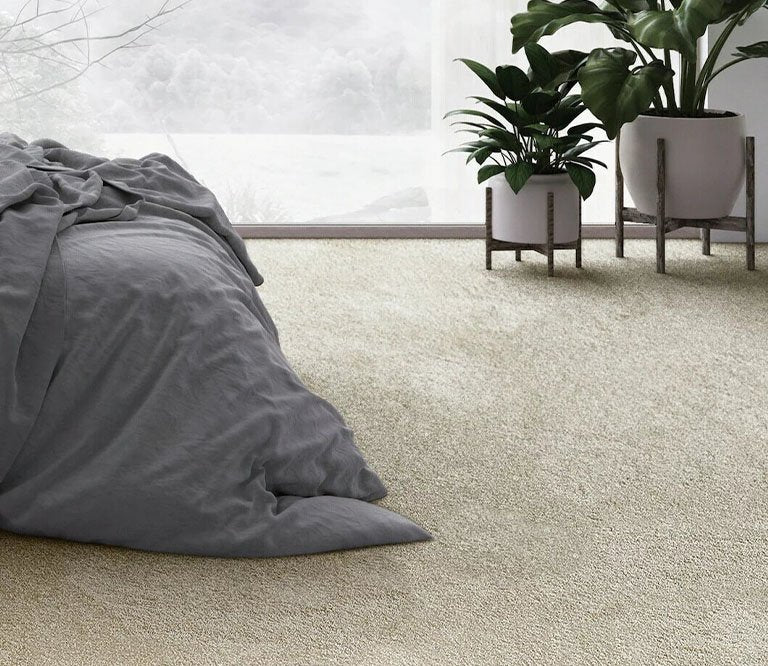 ETERNITY - AMARYLLIS