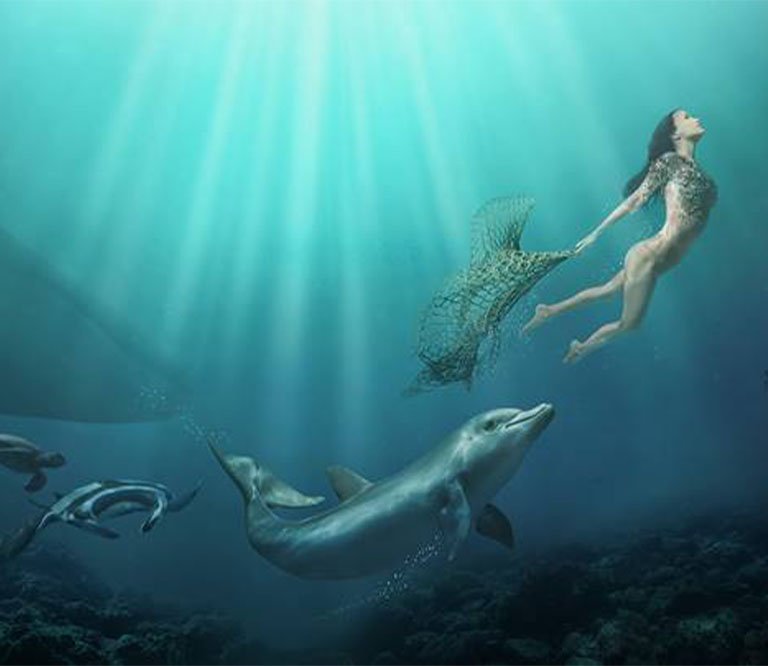 Sedna