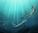 Sedna
